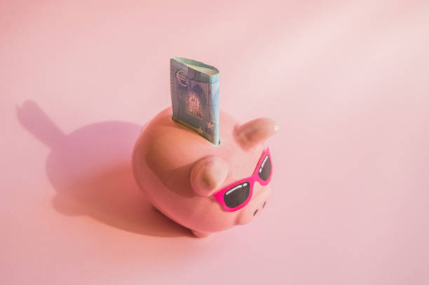 Concept of saving money on your trip or vacation pig piggy Bank with sunglasses on the bill of euros on a pink background, place for text stock photo