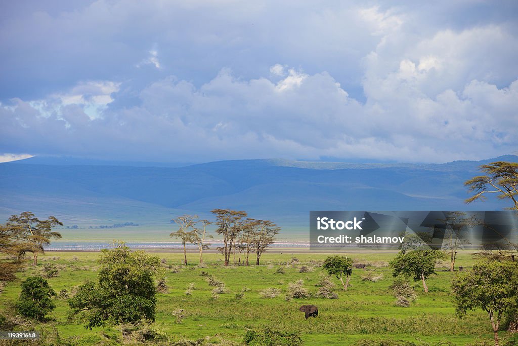 Paesaggio di Cratere di Ngorongoro in Tanzania - Foto stock royalty-free di Africa