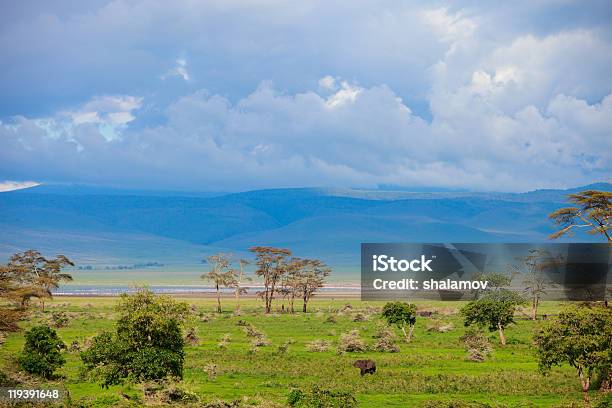 Paesaggio Di Cratere Di Ngorongoro In Tanzania - Fotografie stock e altre immagini di Africa - Africa, Ambientazione esterna, Animale