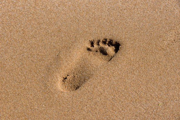 istock Footprints on the shore of the sea 1193917189