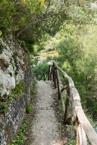 istock Path on the Sicilian hills 1193921089