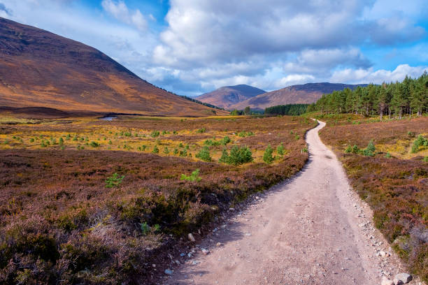 scotland - extreme terrain footpath british culture green imagens e fotografias de stock