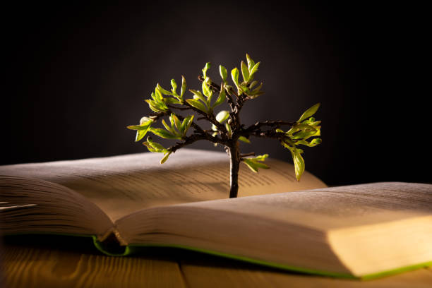 istock growing tree with green leaves from an open book 1193922490