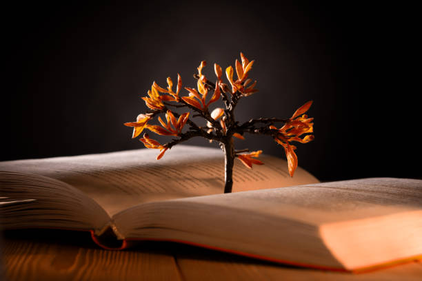 istock growing tree with orange leaves from an open book on a dark background 1193922504