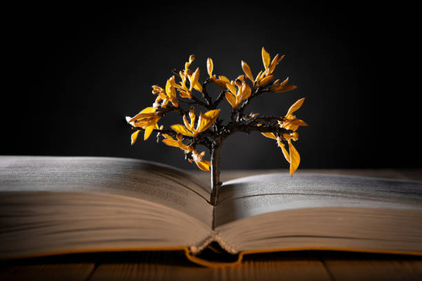 istock growing tree with orange leaves from an open book on a dark background 1193922515