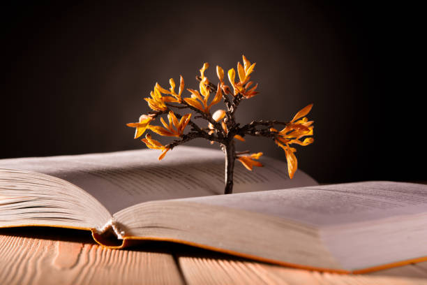 istock growing tree with orange leaves from an open book on a dark background 1193922550