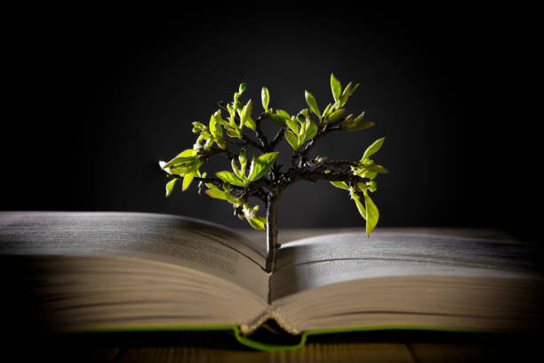 istock growing tree with green leaves from an open book 1193922555