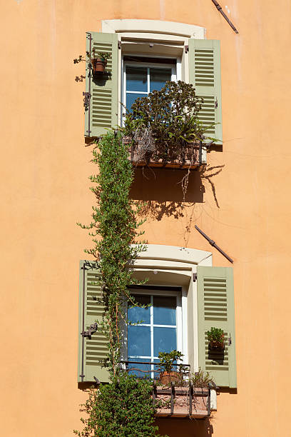 windows and flowers in orange wall stock photo