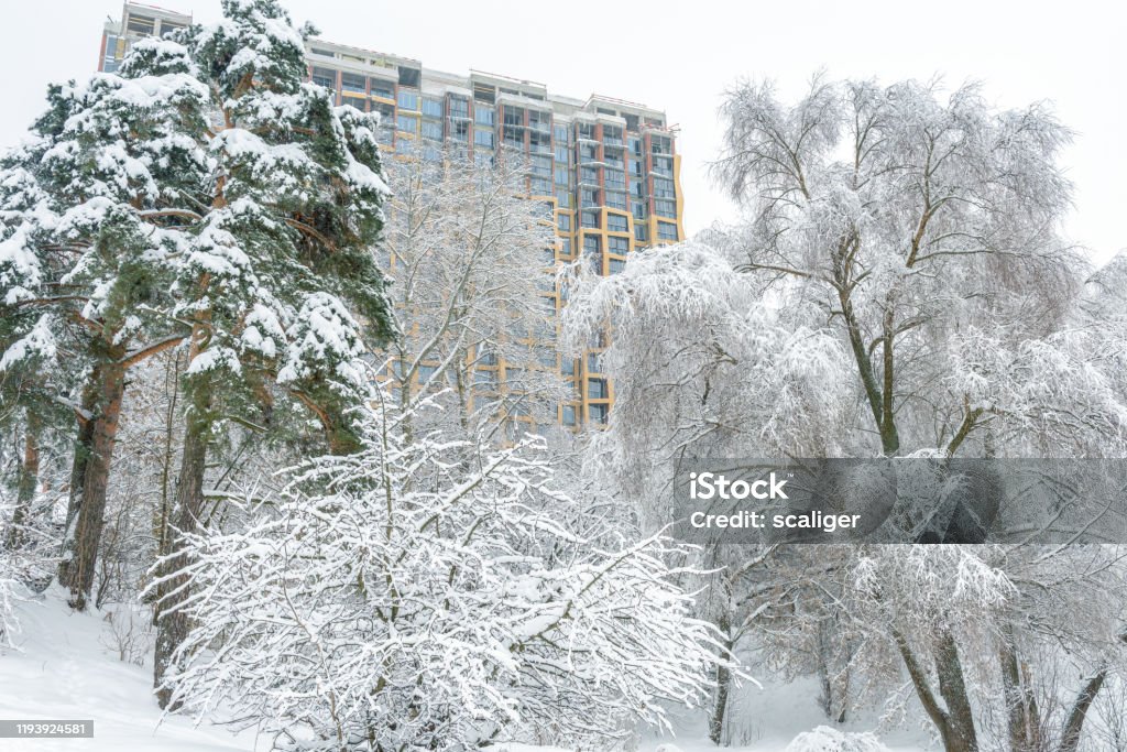 Phong Cảnh Mùa Đông Moscow Nga Những Cây Tuyết Đẹp Nhìn Ra Tòa Nhà Hiện Đại Hình  ảnh Sẵn có - Tải xuống Hình ảnh Ngay bây giờ - iStock