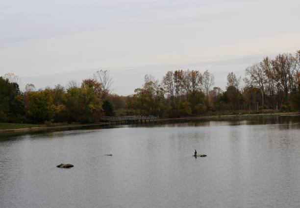 istock Gloomy Overcast Day at the Lake 1193928321