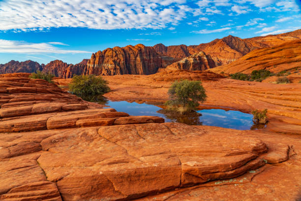 Seasonal Pond in the Sandstone of Snow Canyon State Park Petrified Sand Dunes, Snow Canyon State Park, Utah, USA snow canyon state park stock pictures, royalty-free photos & images