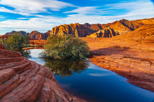 Reflections of Sandstone in Snow Canyon State Park Petrified Sand Dunes, Snow Canyon State Park, Utah, USA snow canyon state park stock pictures, royalty-free photos & images