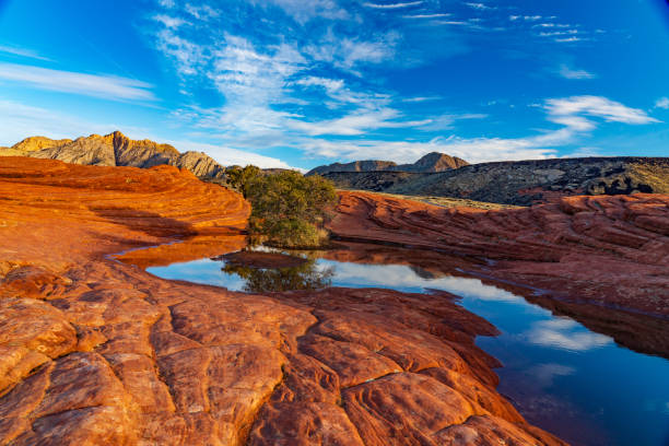 istock Sculpted Sandstone in Snow Canyon State Park 1193930409