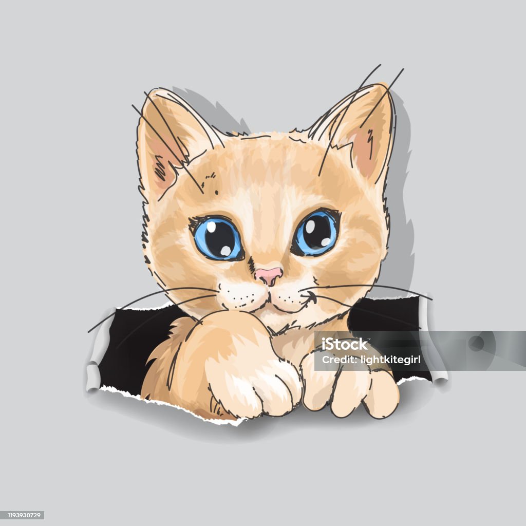 Cute Cat In In Ripped Paper Cartoon Illustration Funny Little Kitten Stock  Illustration - Download Image Now - iStock