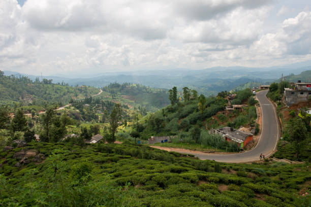 istock Road in landscape, Sri Lanka 1193930781