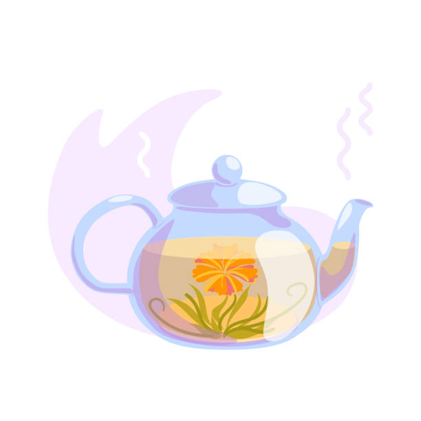 горячий цветущий чай в стеклянном чайнике изолирован на белом фоне. вид спереди японской цветущей чайной церемонии. векторная природная ил - flower single flower spa white stock illustrations