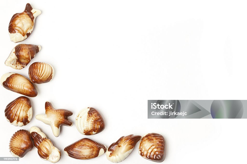 chocolate seashells  Animal Shell Stock Photo