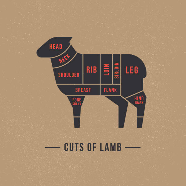 Cutting sheep meat painted in a vector Cutting sheep meat painted in a vector in a flat retro styles isolated against the background. For the butchers shop or restaurant menu. chuck drill part stock illustrations