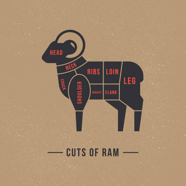 Cutting ram meat painted in a vector Cutting ram meat painted in a vector in a flat retro styles isolated against the background. For the butchers shop or restaurant menu. chuck drill part stock illustrations
