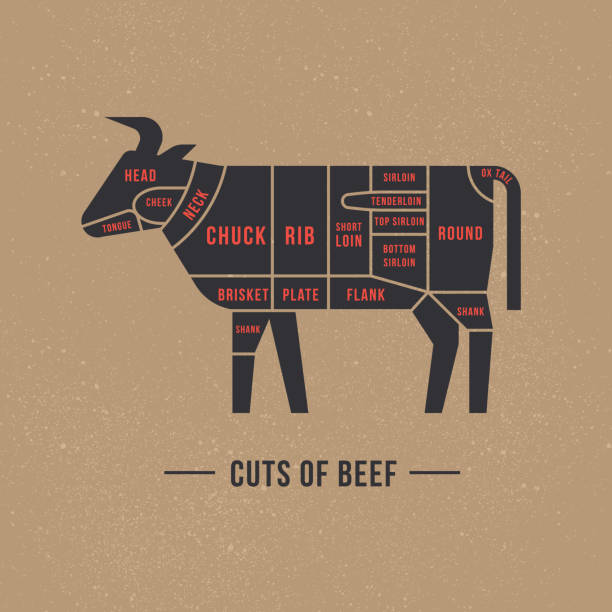 Cutting beef meat painted in a vector Cutting beef meat painted in a vector in a flat retro styles isolated against the background. For the butchers shop or restaurant menu. chuck drill part stock illustrations