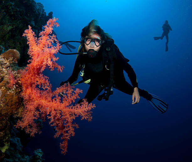 istock scuba diver and red soft coral 119394734