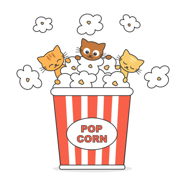 Cute Cartoon Popcorn Box With Funny Cats Vector Illustration Isolated On  White Background Stock Illustration - Download Image Now - iStock