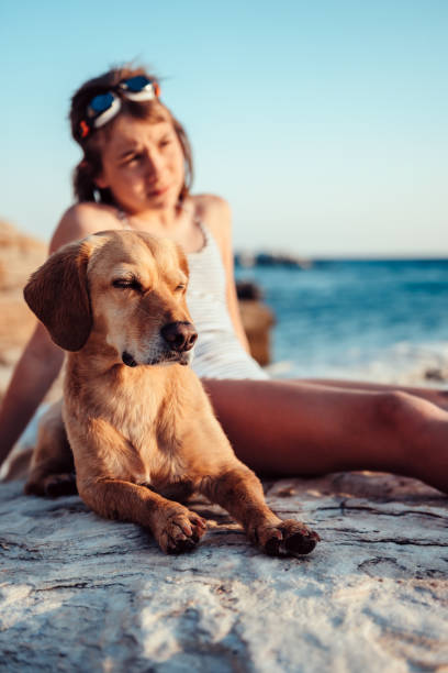 istock Dog and girl lying down on the beach 1193955085