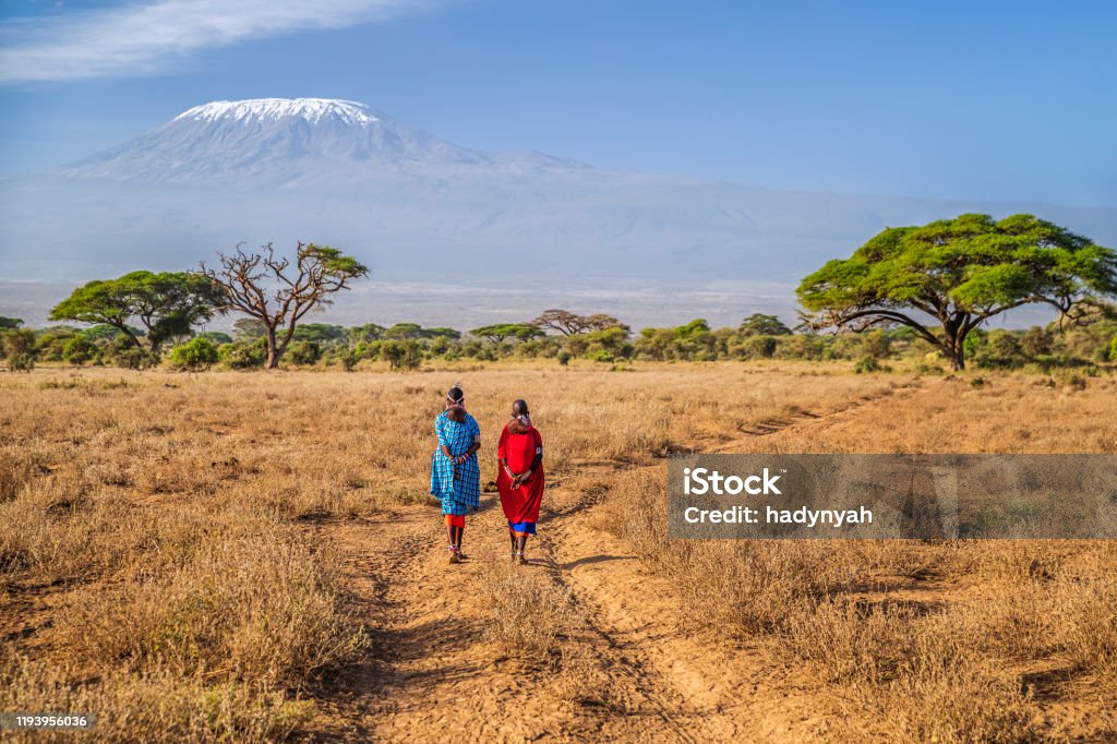 Maasai women crossing savannah, Mount Kilimanjaro  on the background, Kenya, Africa Two African women  from Maasai tribe crossing savannah with offspring on their back, Mount Kilimanjaro on the background, central Kenya, Africa. Maasai tribe inhabiting southern Kenya and northern Tanzania, and they are related to the Samburu. Africa Stock Photo