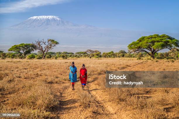 Maasai Women Crossing Savannah Mount Kilimanjaro On The Background Kenya Africa Stock Photo - Download Image Now