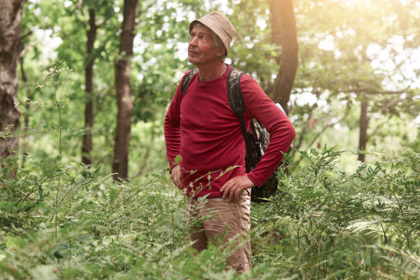 istock Hiker man hiking in forest, standing among trees with hands on hips and looking atraight ahead, senior male wearing casual clothing walking in wood. Caucasian model posing outdoors in nature. 1193956045