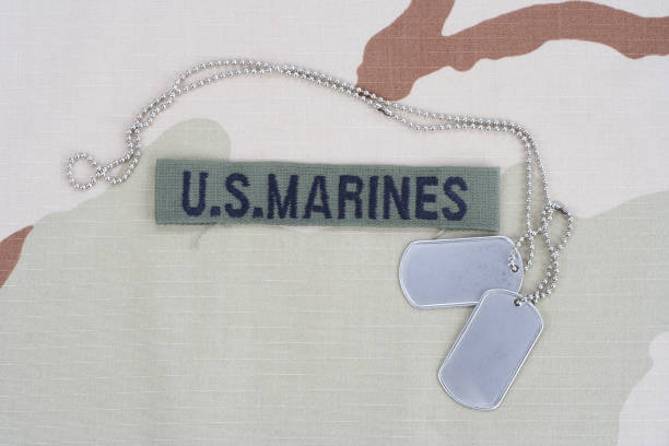 istock US MARINES branch tape with dog tags on desert camouflage uniform 1193956528