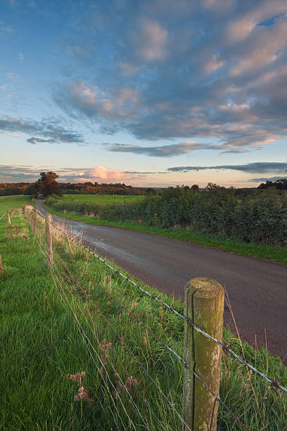 istock Fence alongside a country lane 119395885