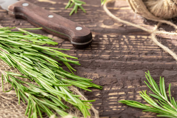 istock freshly cut rosemary on a jute fabric with a knife 1193959705
