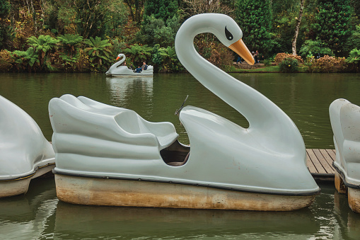 Gramado, Brazil - July 23, 2019. Pedal boats made of fiberglass in the shape of swan moored in a pier at the Black Lake at Gramado. A cute european-influenced town highly sought after by tourists.