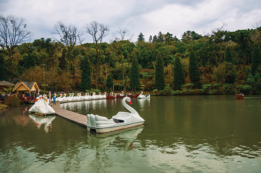 Gramado, Brazil - July 23, 2019. Pedal boats made of fiberglass in the shape of swan moored in a pier at the Black Lake at Gramado. A cute european-influenced town highly sought after by tourists.