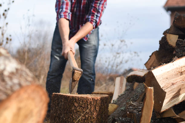 istock Lumberjack chopping wood for winter 1193961742