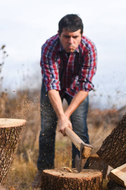istock Lumberjack chopping wood for winter 1193961743