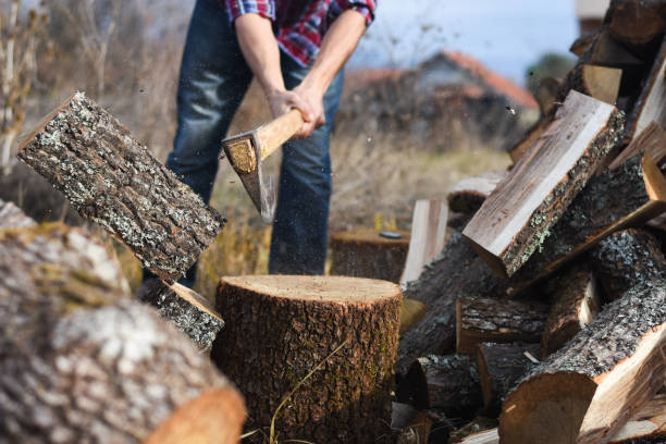 istock Lumberjack chopping wood for winter 1193961895