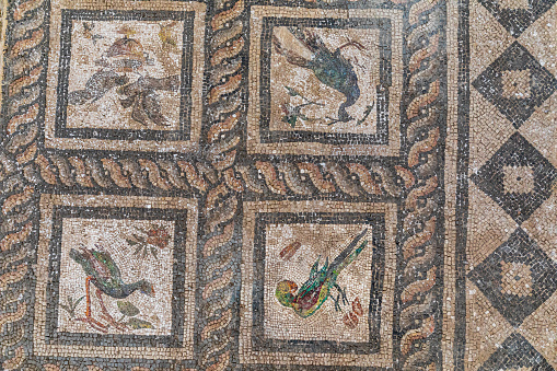 Africa, Egypt, Alexandria.  Mosaic tile flooring from Villa of the Birds, during reign of Hadrian, in Alexandria.