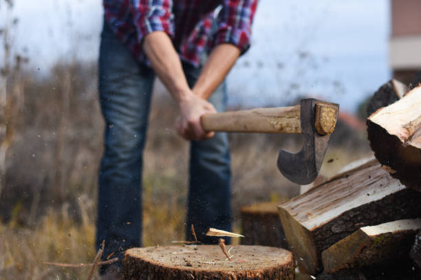 istock Lumberjack chopping wood for winter 1193962121