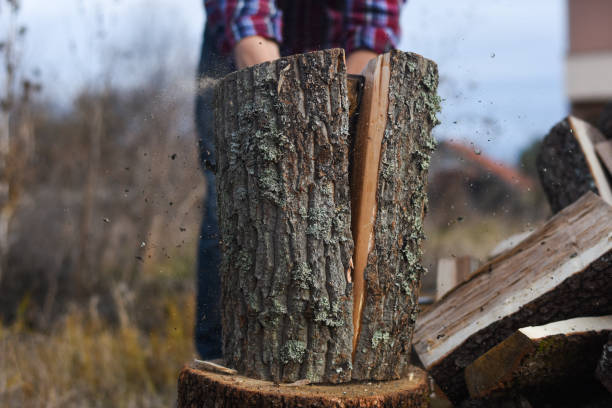 istock Lumberjack chopping wood for winter 1193962921