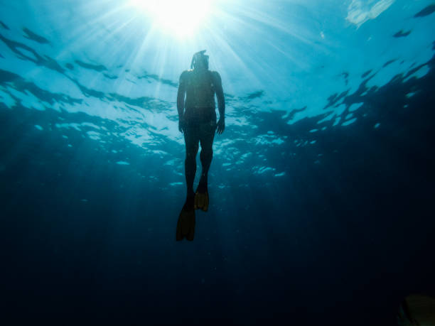 istock Diver emerge from the sea 1193964145