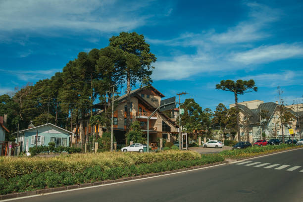 casas y árboles en calle vacía en gramado - boulevard mansion road grounds fotografías e imágenes de stock