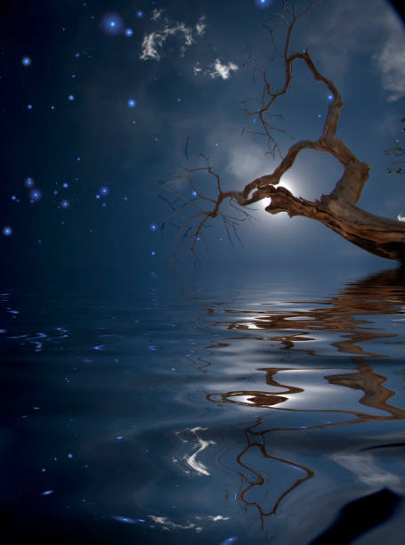 istock Surreal digital art. Old tree in quiet water 1193964598