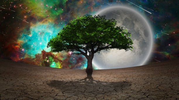 istock Tree of life 1193964619