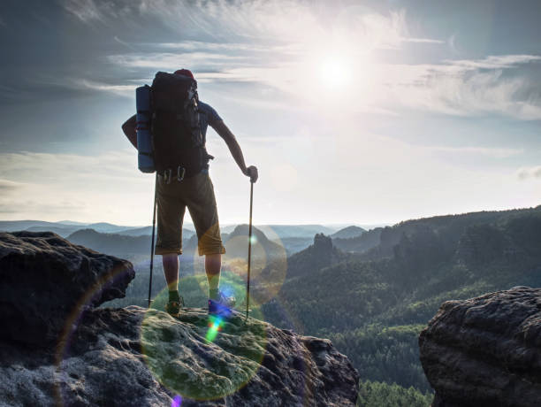 istock Hiker hold trekking sticks for nordic walking and deep breath 1193967744