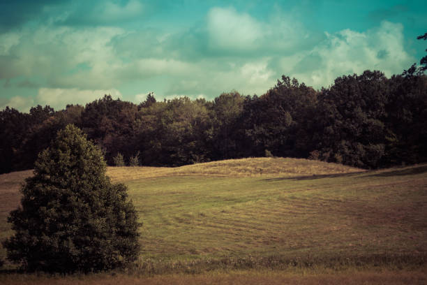 istock landscape with glacial landforms covered with forest 1193969414