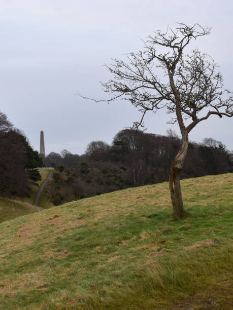 istock Phoenix park dublin Ireland 1193969502
