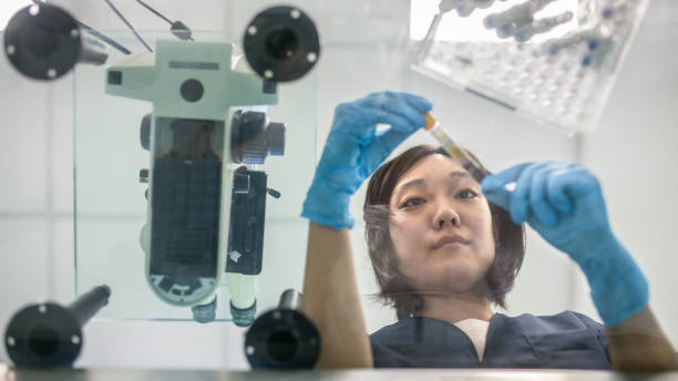 血液サンプルを調べる日本の若い女性研究室の技術 - medical laboratory ストックフォトと画像