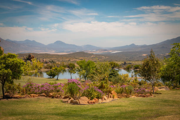 istock South Africa Vista 1193975881